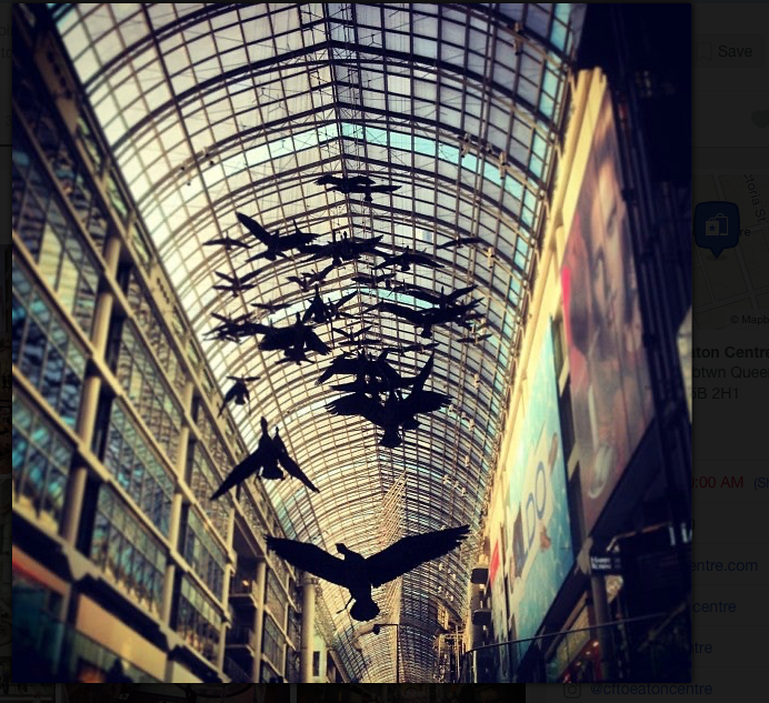 Petite Women Are STILL No Longer Welcome at the Eaton Centre’s Department Stores in&nbsp;Toronto!!!